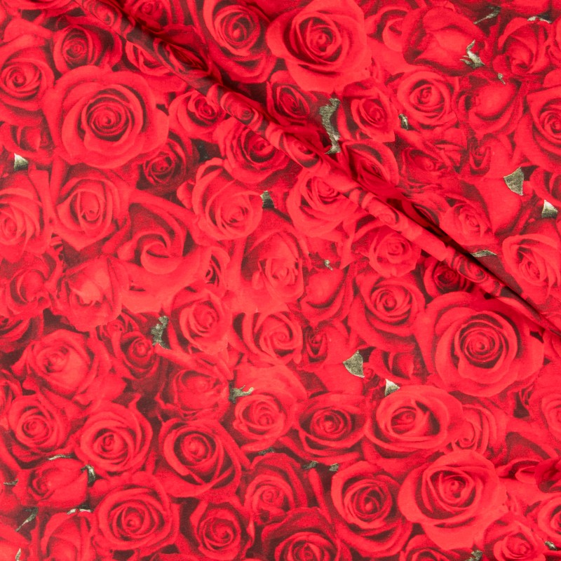 American Beauty-Leinwand - Ribes y Casals