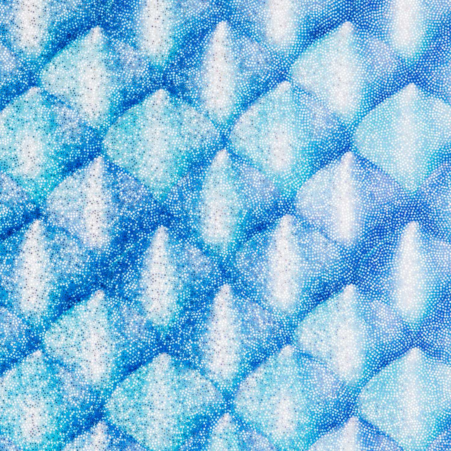 Lycra Schuppen Blau - Ribes y Casals