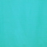 Polka Dot Printed Rash Guard Türkis - Ribes y Casals