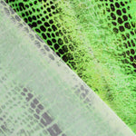 Lycra Fantasy Schlange Grün - Ribes y Casals