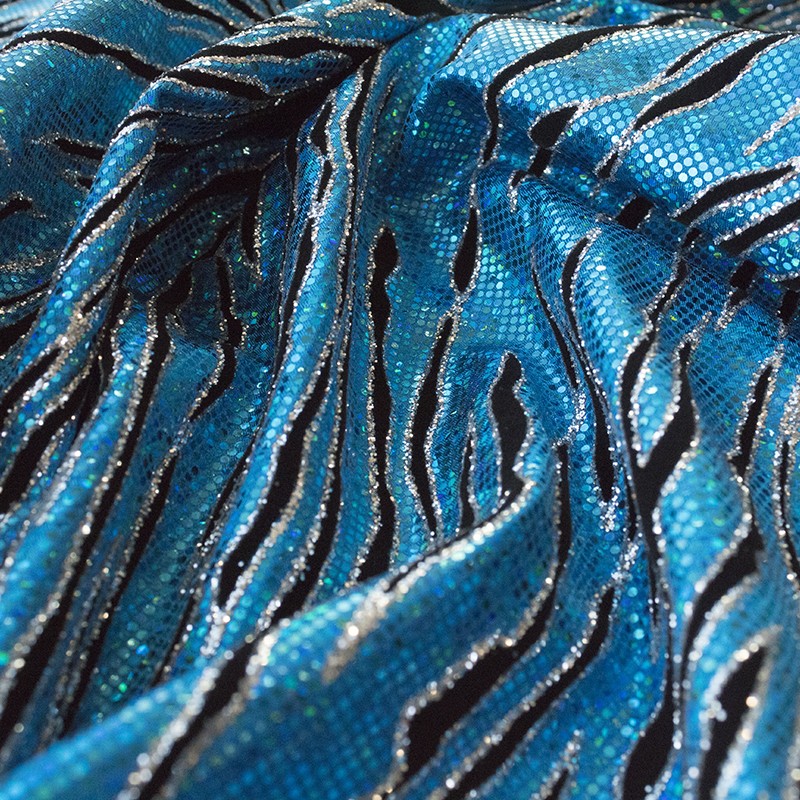 Hologramm Rash Guard Tiger Blau - Ribes y Casals
