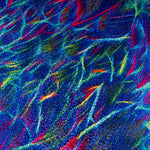 Lycra Hologramm Elektro - Ribes y Casals