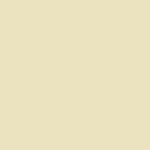 Lycra Matt Beige - Ribes y Casals
