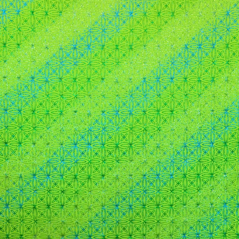 Fluor Grün Glitter Rash Guard - Ribes y Casals