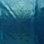Holografischer blauer Schlangenausschlagschutz - Ribes y Casals