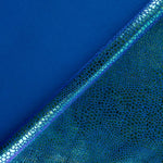 Holografischer blauer Schlangenausschlagschutz - Ribes y Casals