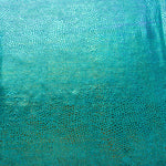 Holographische Schlange Rash Guard Türkis - Ribes y Casals