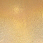Lycra Mystique Hologramm Gold - Ribes y Casals