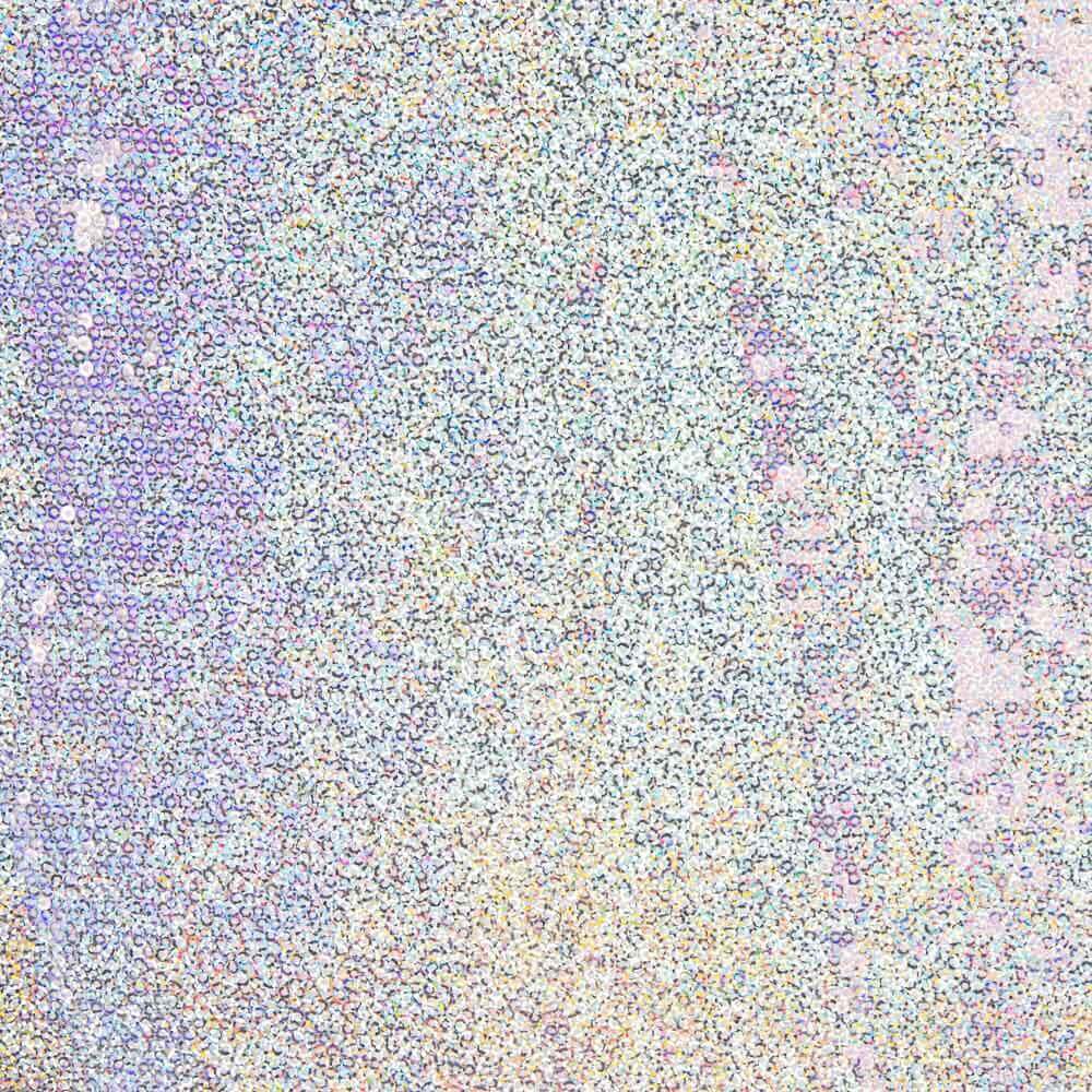 Silber Holografie Lycra Pailletten Holografie Silber - Ribes y Casals