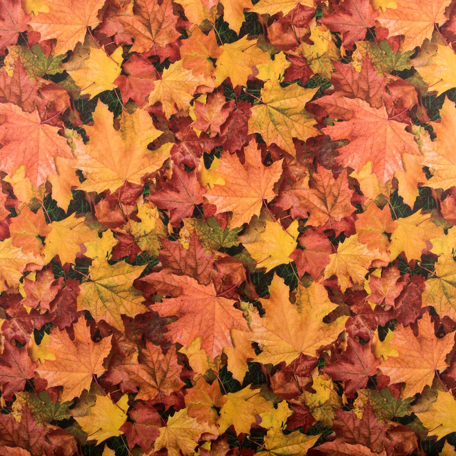 Herbstblätter Anti-Flecken-Tischdecke - Ribes y Casals