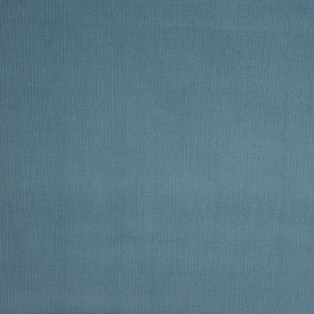 Microfleece Baumwolle Blau - Ribes y Casals
