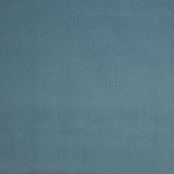 Microfleece Baumwolle Blau - Ribes y Casals