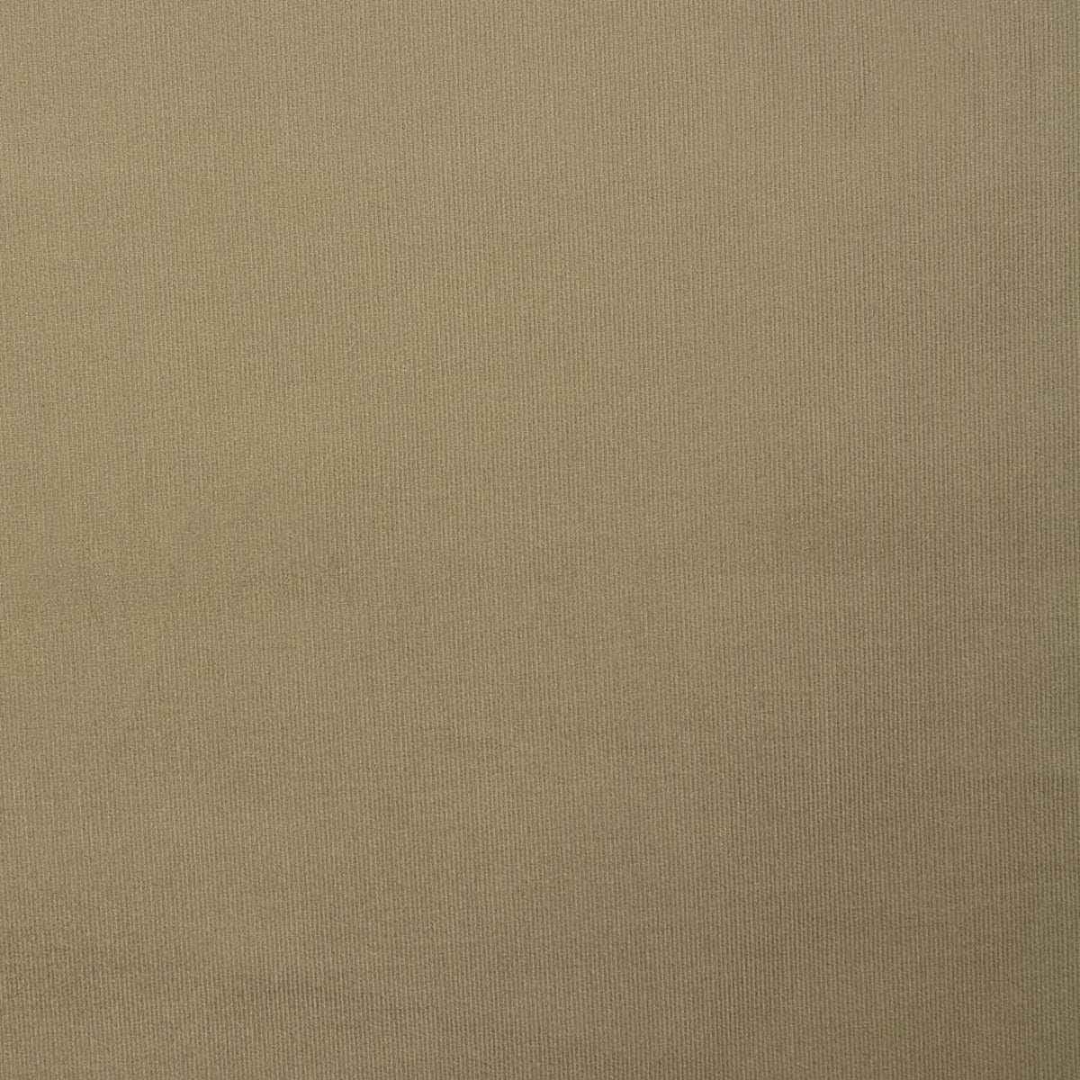 Mikrocord Baumwolle Elasthan Beige - Ribes y Casals