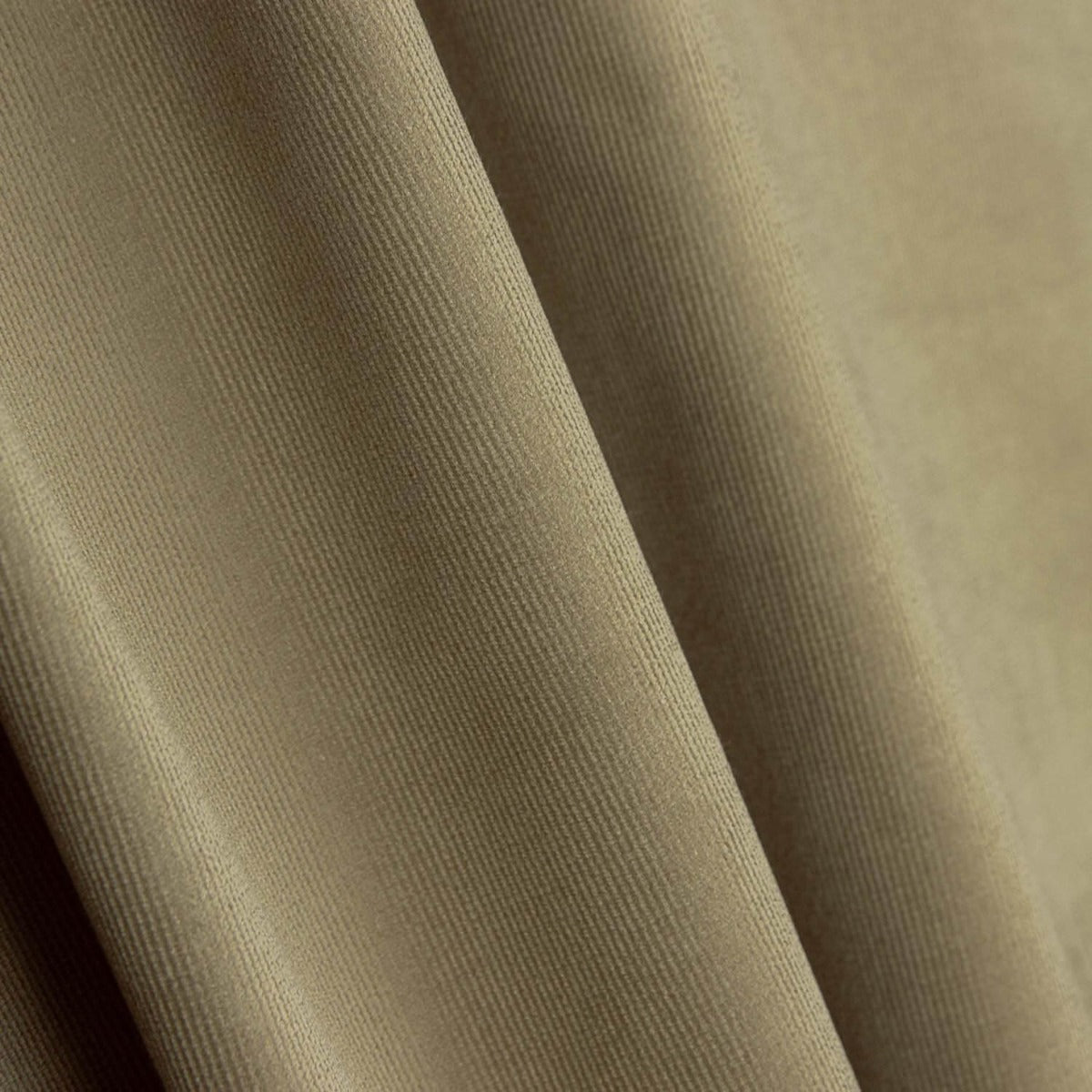 Mikrocord Baumwolle Elasthan Beige - Ribes y Casals
