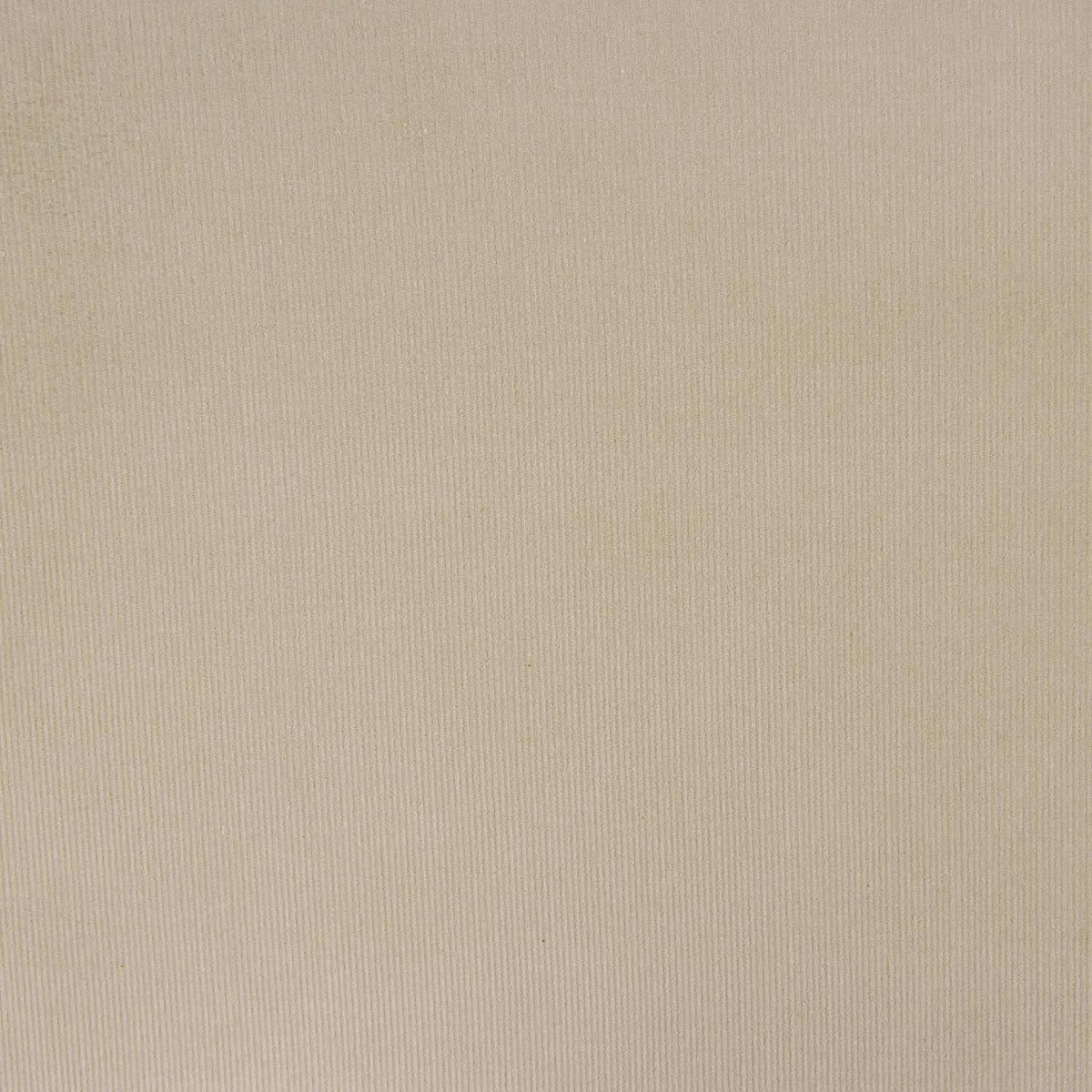 Microfleece Baumwolle Sand - Ribes y Casals