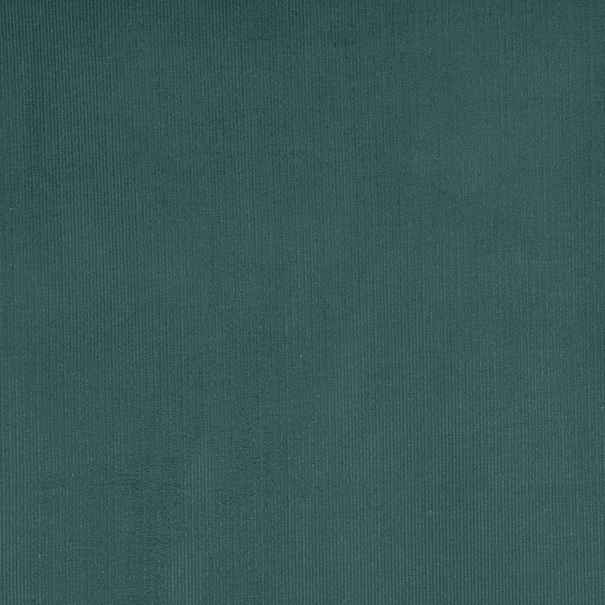 Microfleece Baumwolle Teal Blau - Ribes y Casals