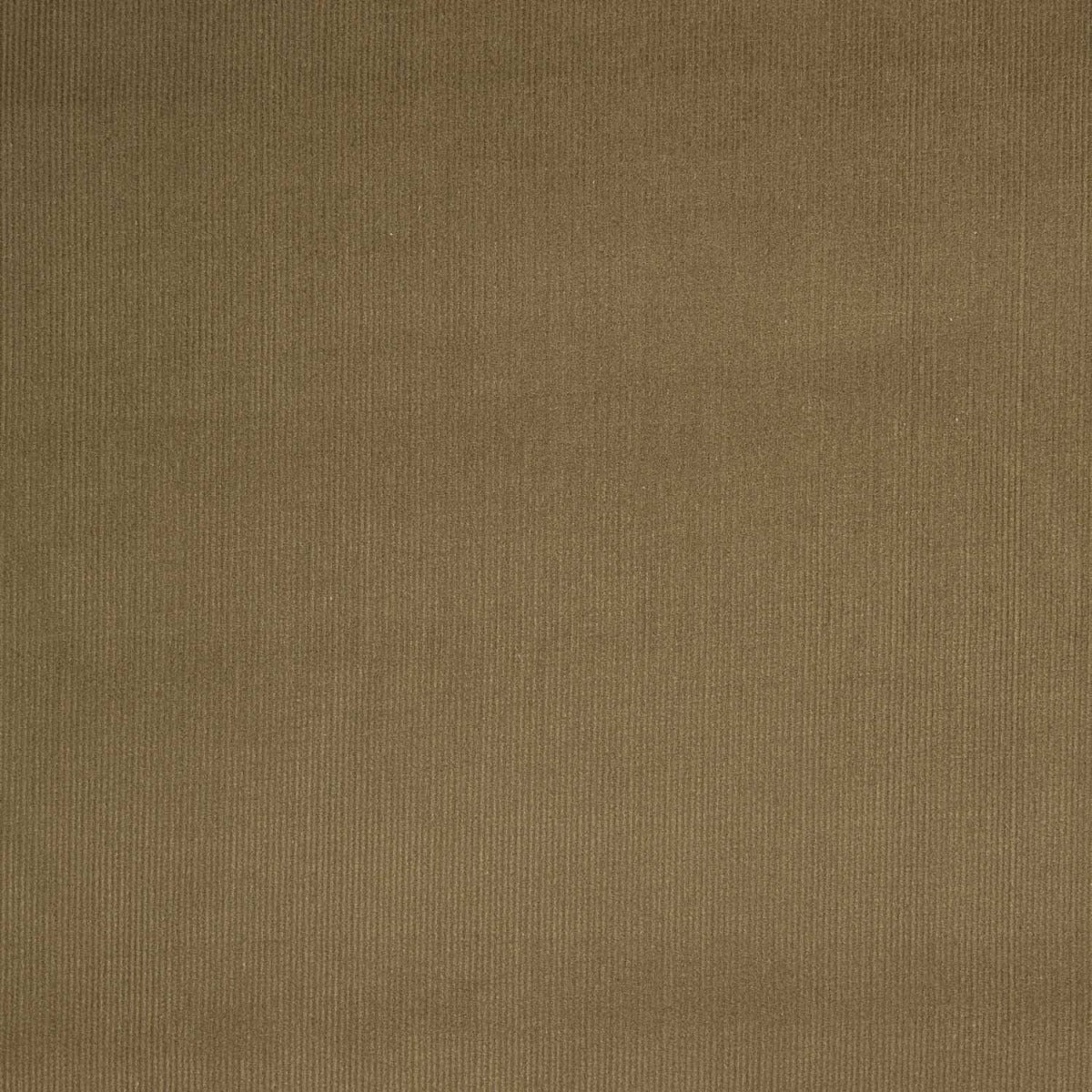 Microfleece Baumwolle Camel - Ribes y Casals