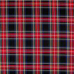 Twill Scotch Grün Rot - Ribes y Casals