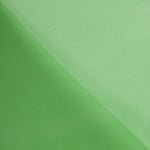 Organdie Polyester Grün - Ribes y Casals