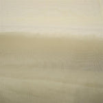 Beige Schweizer Organza - Ribes y Casals