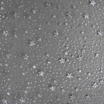 Organza Schwarzer Stern Silber - Ribes y Casals