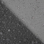 Organza Schwarzer Stern Silber - Ribes y Casals