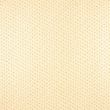 Polyester Plumeti Ocker Organza - Ribes y Casals