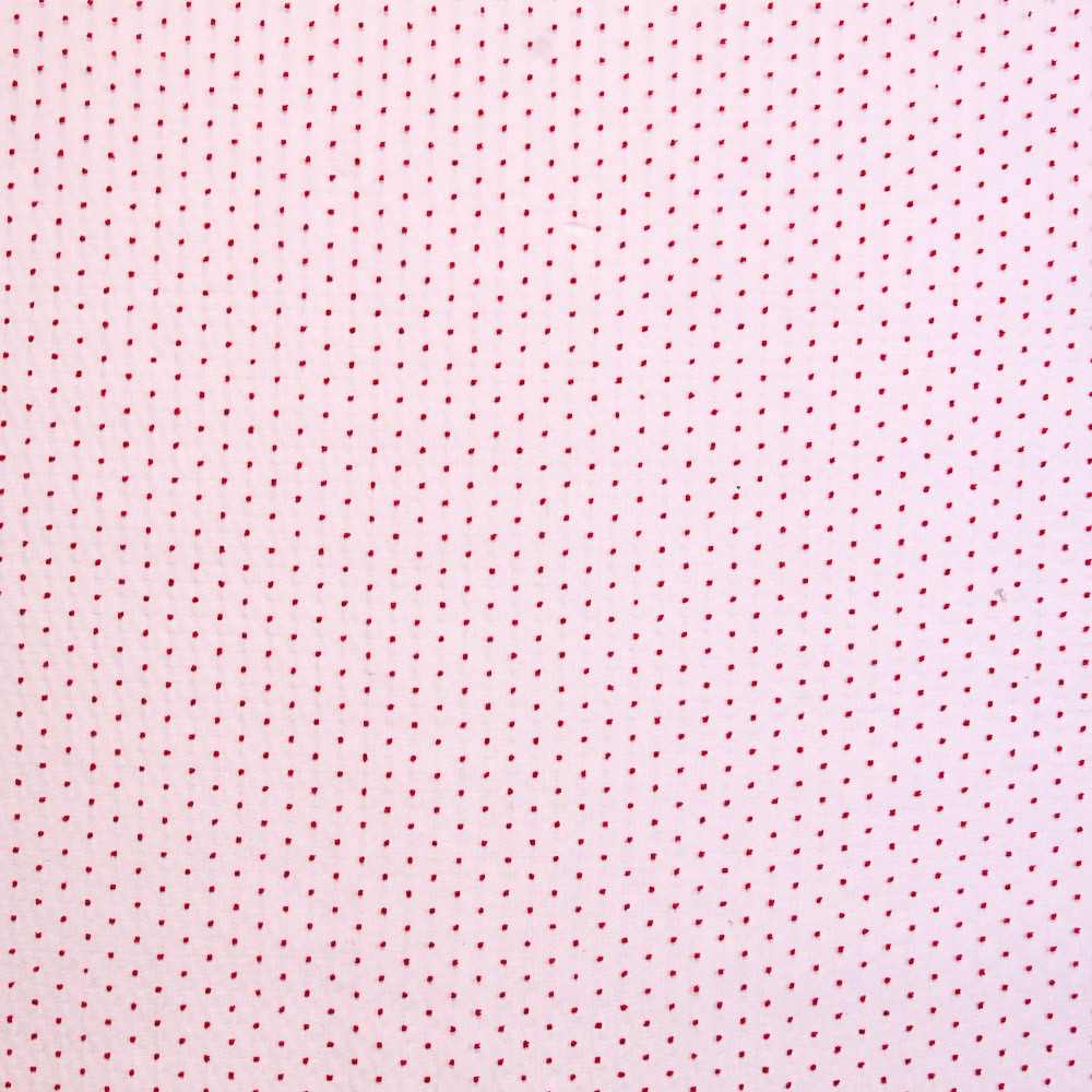 Organza Polyester Plumeti Rot - Ribes y Casals