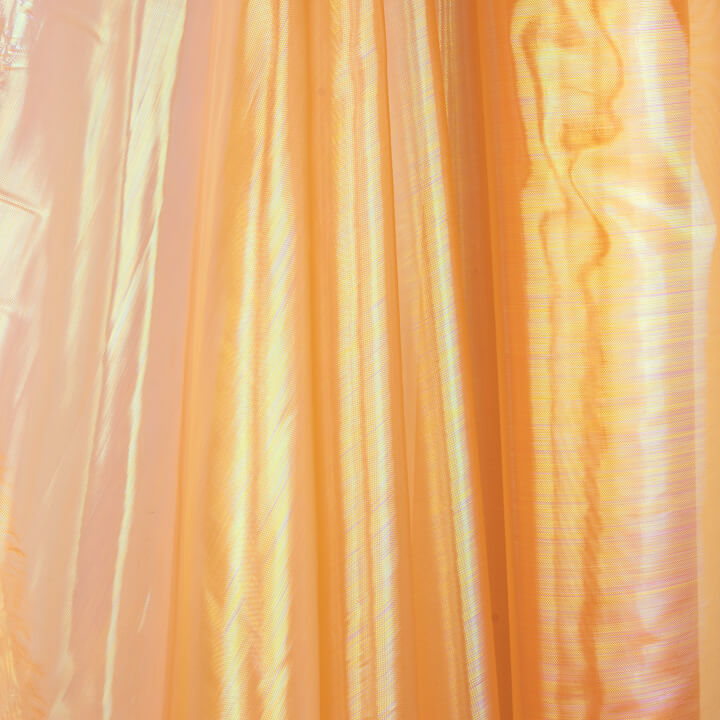 Organza Iris in Orange - Ribes y Casals