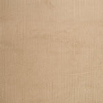 Beigefarbener elastischer Kord - Ribes y Casals