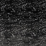 Schwarzes Tier Kurzhaar - Ribes y Casals