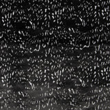 Schwarzes Tier Kurzhaar - Ribes y Casals