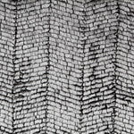Silber Fantasy Kurzhaarschal 185x150 cm - Ribes y Casals