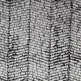 Silber Fantasy Kurzhaarschal 185x150 cm - Ribes y Casals