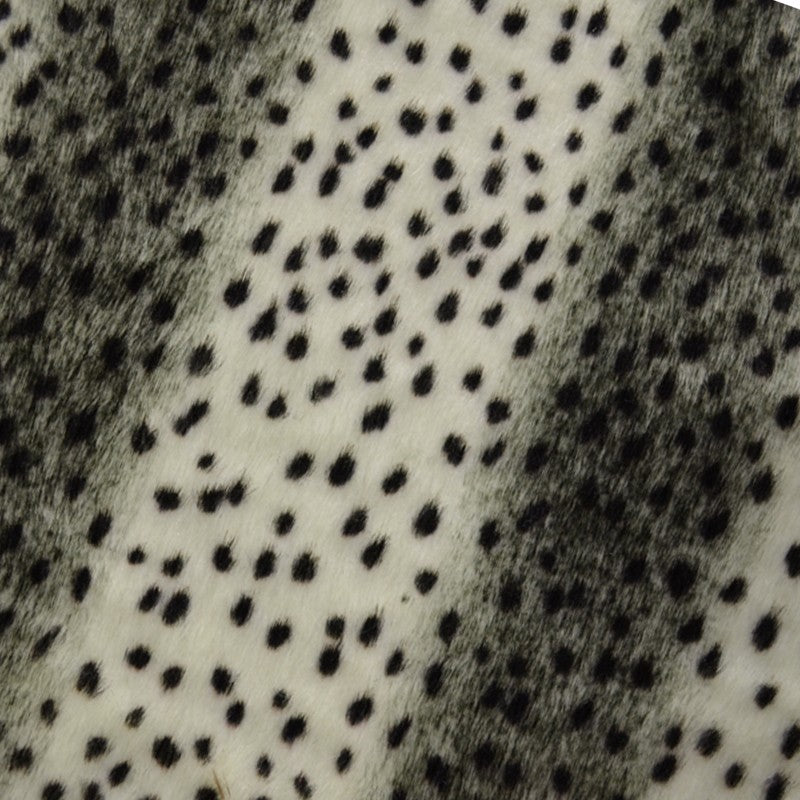 Grau Leopard Langhaar - Ribes y Casals