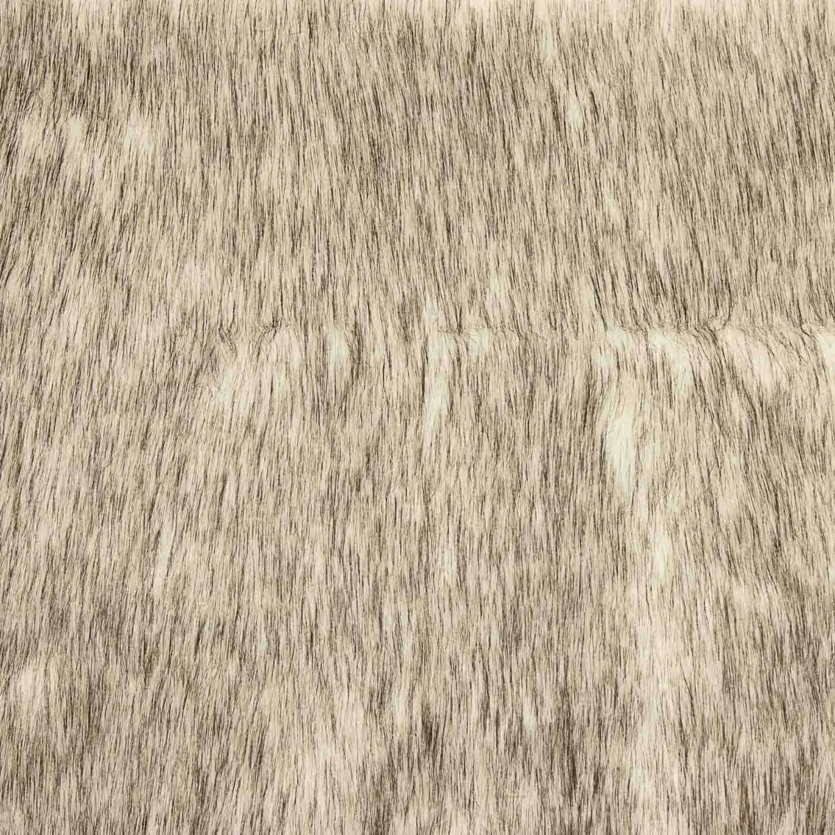 Grauer Wolf Mode Langhaar - Ribes y Casals