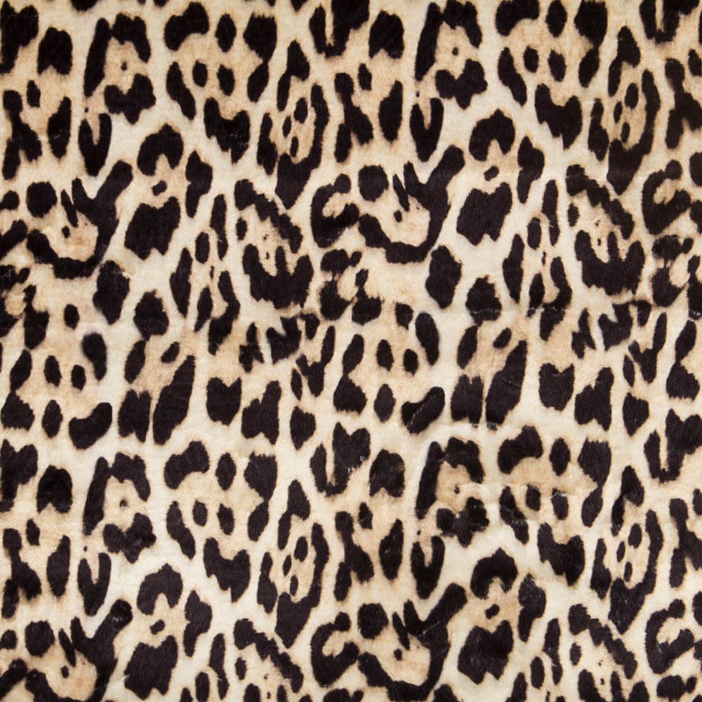 Leopard Print Kurzhaar - Ribes y Casals