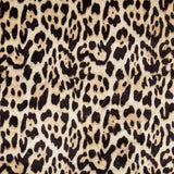 Leopard Print Kurzhaar - Ribes y Casals