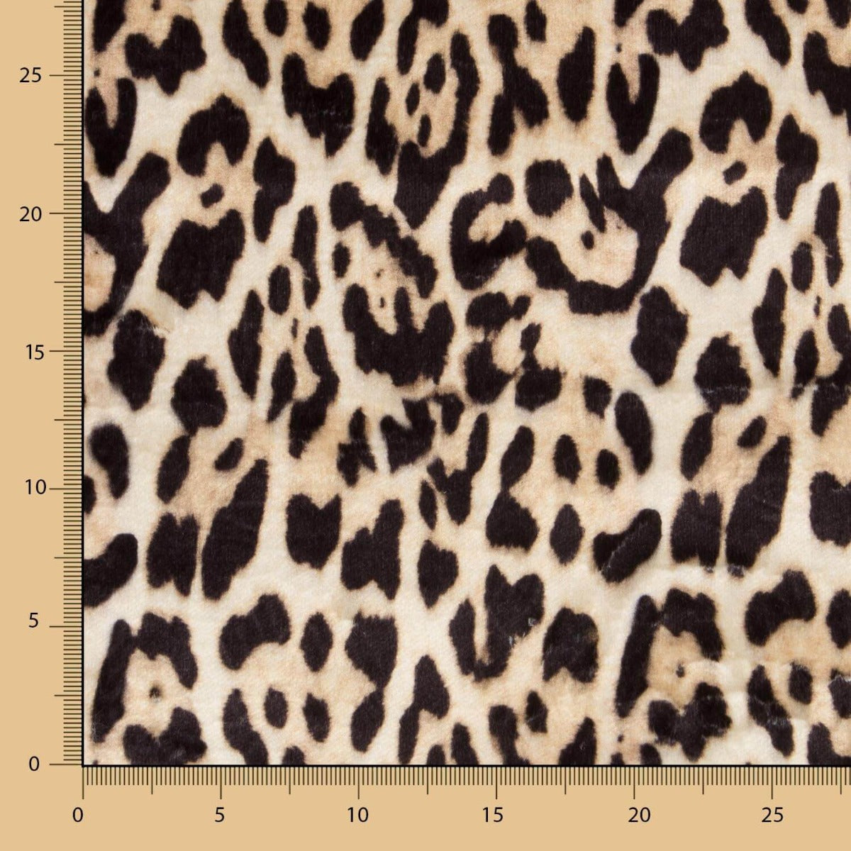 Leopard Print Kurzhaar - Ribes y Casals