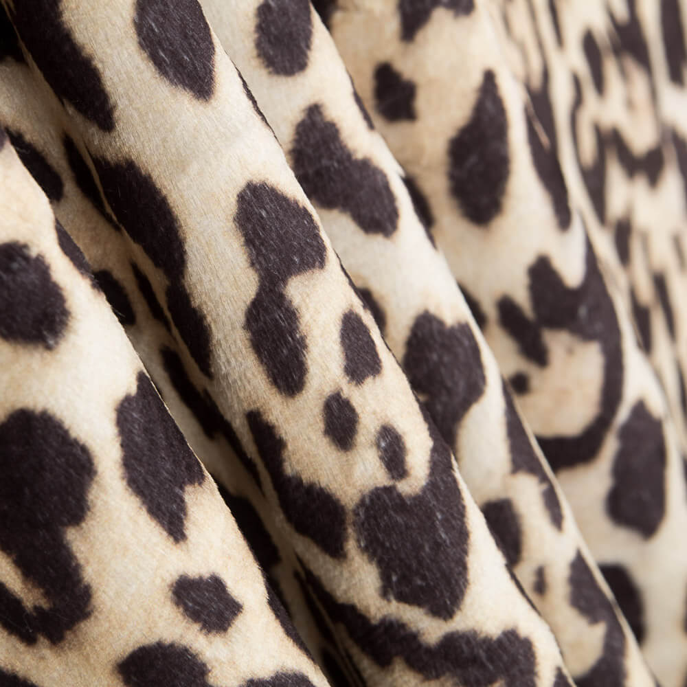 Leopard Print Kurzhaar - Ribes y Casals