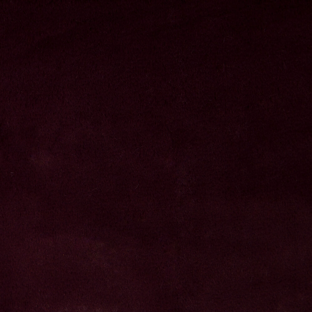 Burgundisch Glatt Kurzhaar - Ribes y Casals