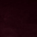 Burgundisch Glatt Kurzhaar - Ribes y Casals