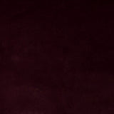 Burgundisch Glatt Kurzhaar - Ribes y Casals