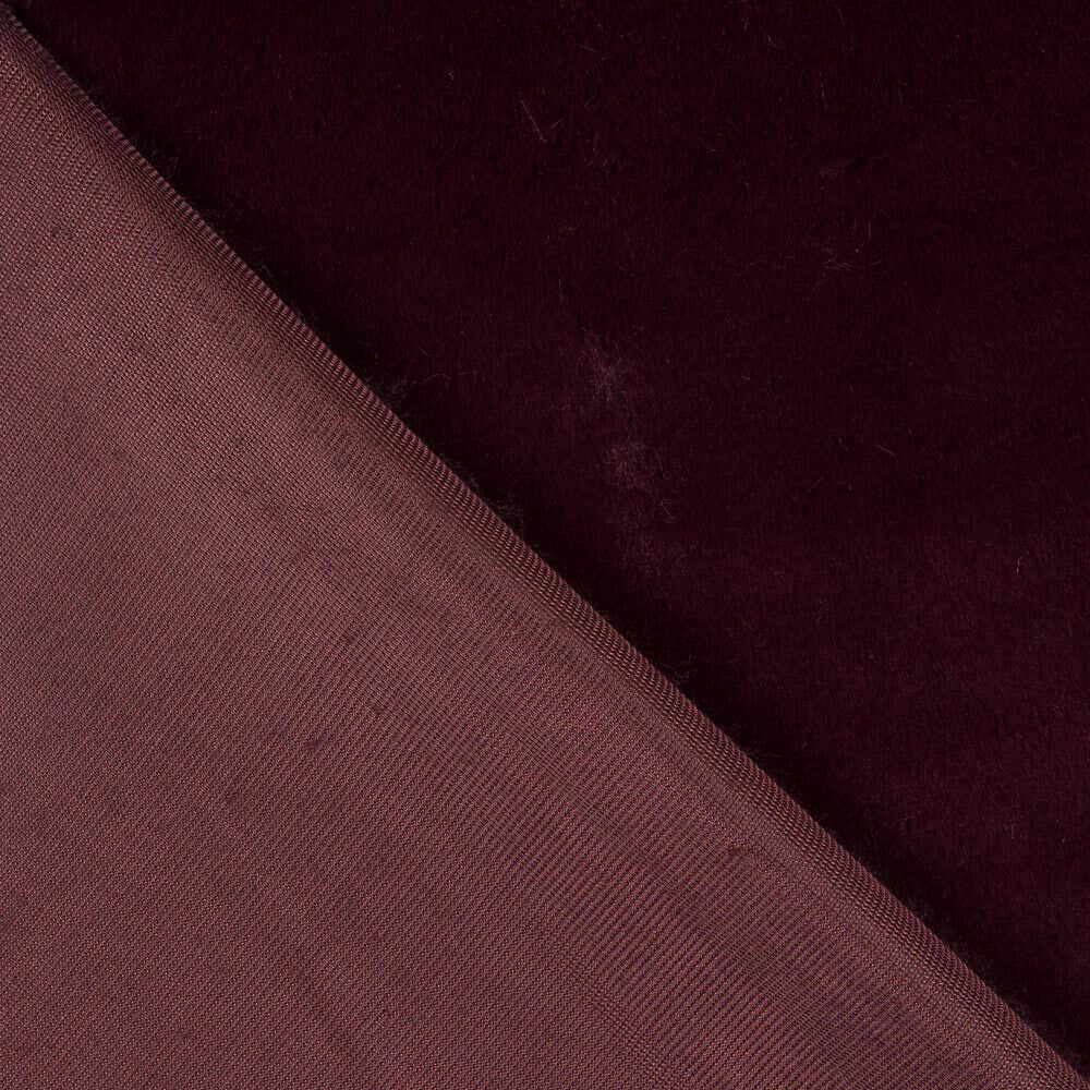 Burgundisch Glatt Kurzhaar - Ribes y Casals