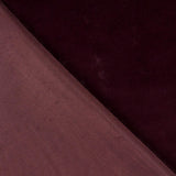 Burgundisch Glatt Kurzhaar - Ribes y Casals