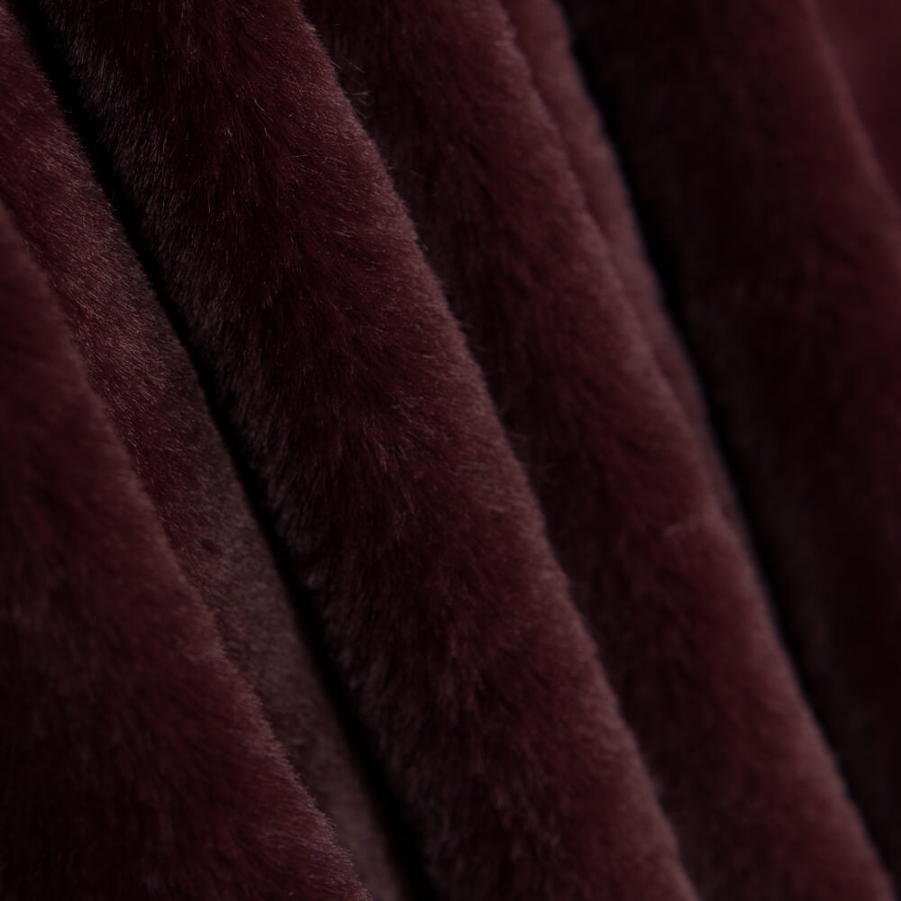 Burgundisch Glatt Kurzhaar - Ribes y Casals