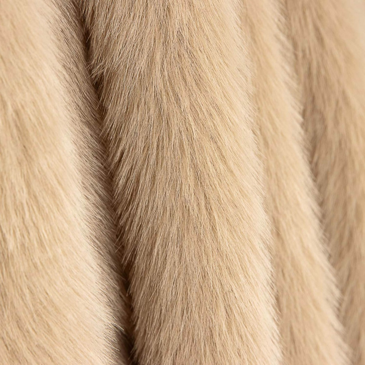 Zuckerbeige Haar - Ribes y Casals