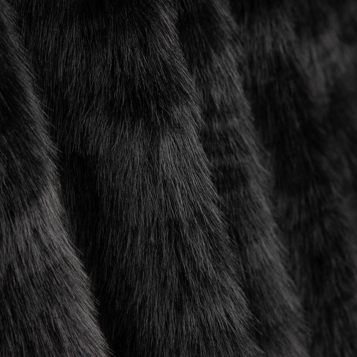 Schwarzes Zuckerhaar - Ribes y Casals