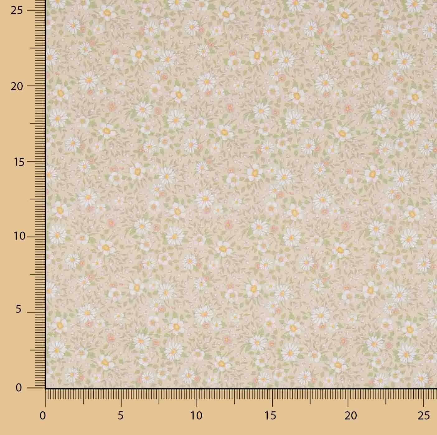 Bedrucktes Perkal mit Frühlingsgänseblümchen-Motiv, Beige - Ribes y Casals