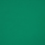 Piqué Polyester Grün - Ribes y Casals